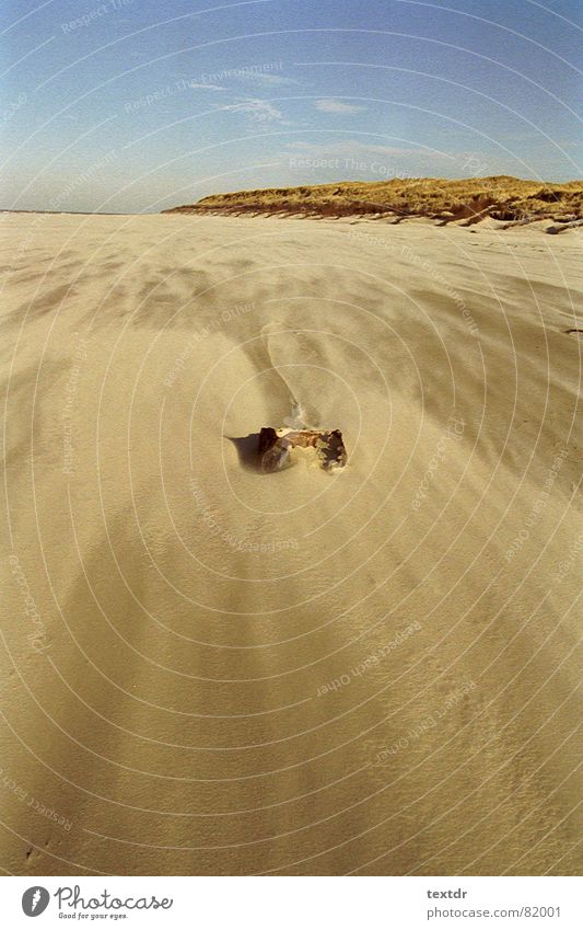 strandsturm Strand Sturm Meer Strandgut beige Sandverwehung Küste Wind Himmel blau Stranddüne