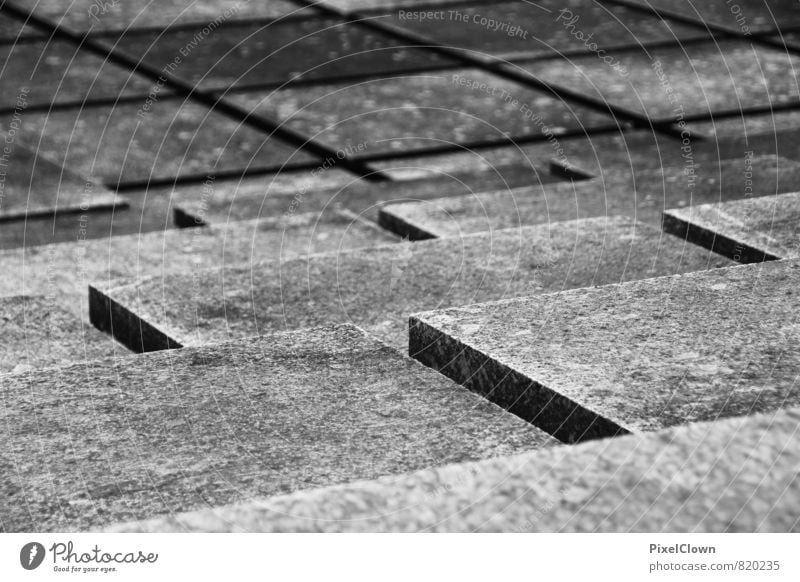 Abstieg Häusliches Leben Garten Wiese Platz Bauwerk Gebäude Treppe Stein Beton gehen laufen schwarz weiß Bewegung Stadt Schwarzweißfoto Außenaufnahme