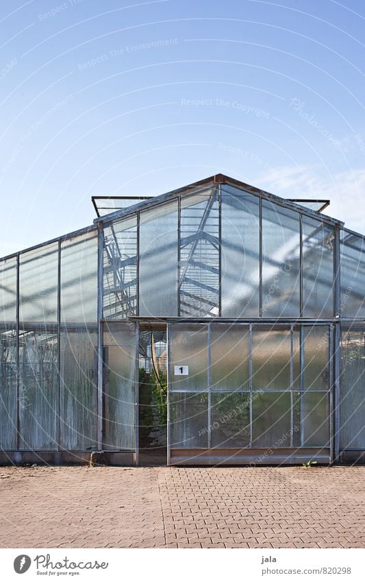 gewächshaus Arbeit & Erwerbstätigkeit Gartenarbeit Arbeitsplatz Landwirtschaft Forstwirtschaft Himmel Bauwerk Gebäude Gewächshaus Fenster Tür ästhetisch groß