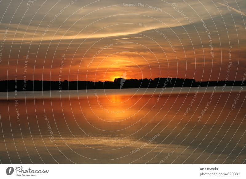 Sonnenuntergang auf dem See Natur Landschaft Wasser Himmel Wolken Sonnenaufgang Sommer Schönes Wetter Seeufer Strand leuchten träumen fantastisch Stimmung