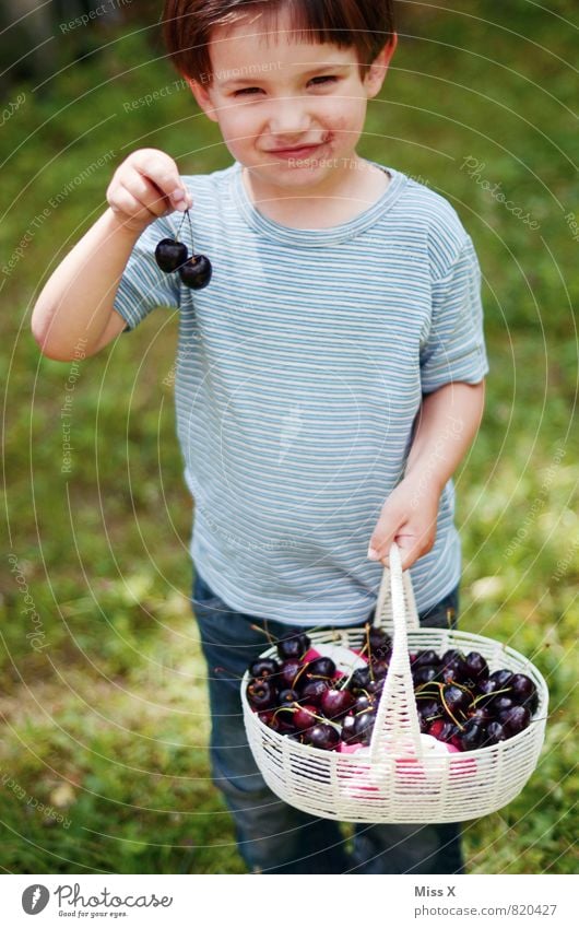 Naschkatze Lebensmittel Frucht Ernährung Essen Picknick Bioprodukte Garten Mensch Kind Kleinkind Mädchen Junge Kindheit 1 1-3 Jahre 3-8 Jahre Sommer Lächeln