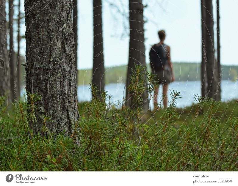 zum See harmonisch Erholung Ferien & Urlaub & Reisen Ausflug Abenteuer Ferne Freiheit Sommer Sommerurlaub wandern Frau Erwachsene Umwelt Natur Landschaft