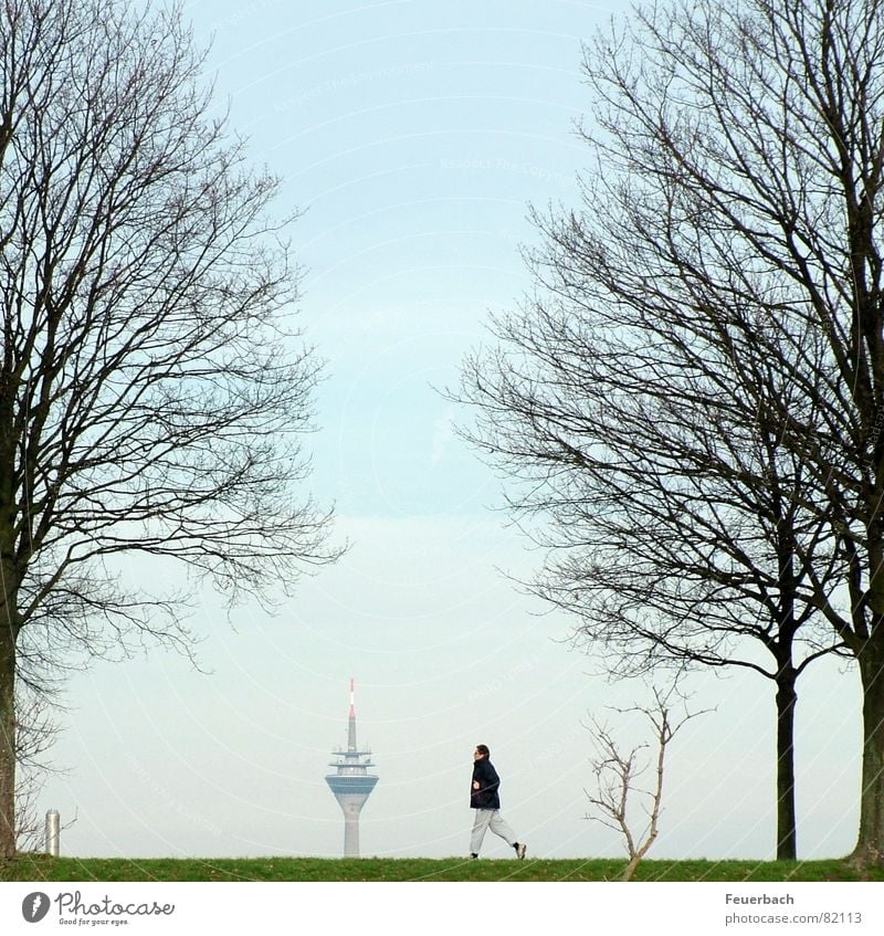 Vorsicht, Fernsehturm! Freizeit & Hobby Ferne Winter Sport Joggen Telekommunikation Informationstechnologie Mensch Mann Erwachsene 1 Himmel Horizont Herbst Baum