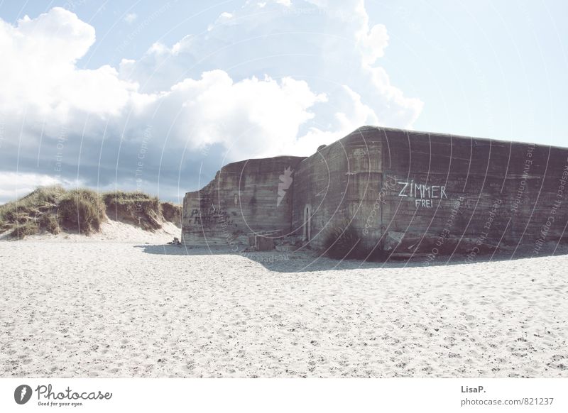 Zimmer frei Ferien & Urlaub & Reisen Abenteuer Freiheit Sommer Sommerurlaub Sonne Strand Stranddüne Dünengras Sand Himmel Wolken Schönes Wetter Ostsee Meer