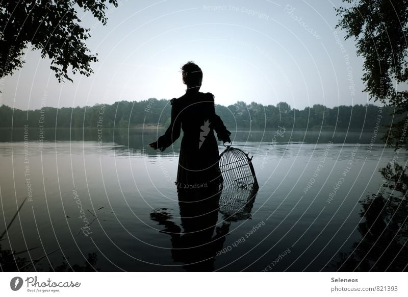 wenn dann zusammen Mensch feminin Frau Erwachsene 1 Umwelt Natur Landschaft Wasser Himmel Wolkenloser Himmel Horizont Sommer Baum Seeufer Flussufer Kleid