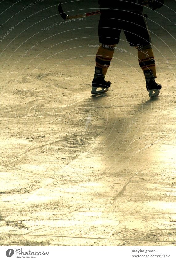 abwehrarbeit Feldhockey Schlittschuhe Eishockey stehen kalt Wintersport Freizeit & Hobby Mann Finale Spielen begegnen Lichteinfall Eisstadion