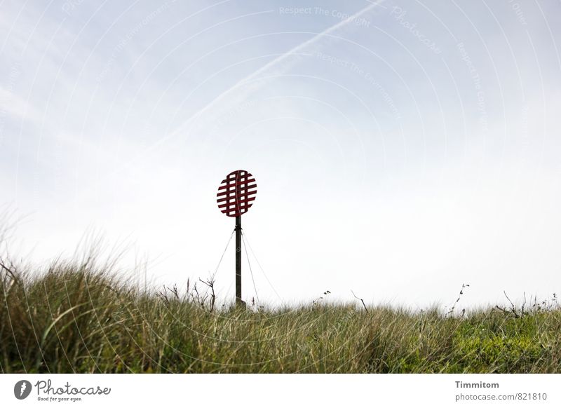 Happy Birthday Sternmarie! Ferien & Urlaub & Reisen Umwelt Natur Pflanze Himmel Sommer Schönes Wetter Gras Dänemark Schilder & Markierungen Seezeichen