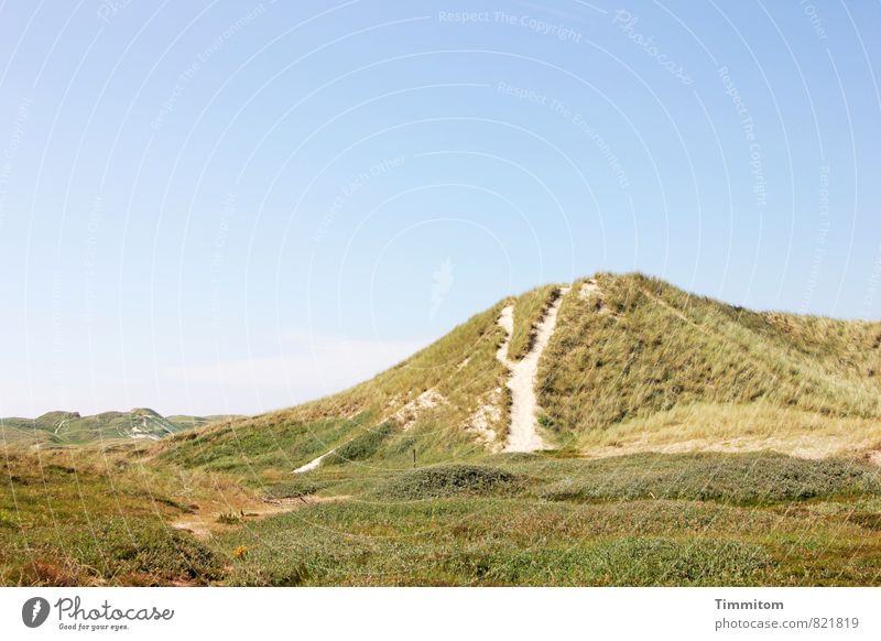 Weite. Ferien & Urlaub & Reisen Umwelt Natur Landschaft Pflanze Himmel Sommer Schönes Wetter Düne Dänemark Wege & Pfade Sand ästhetisch natürlich blau grün