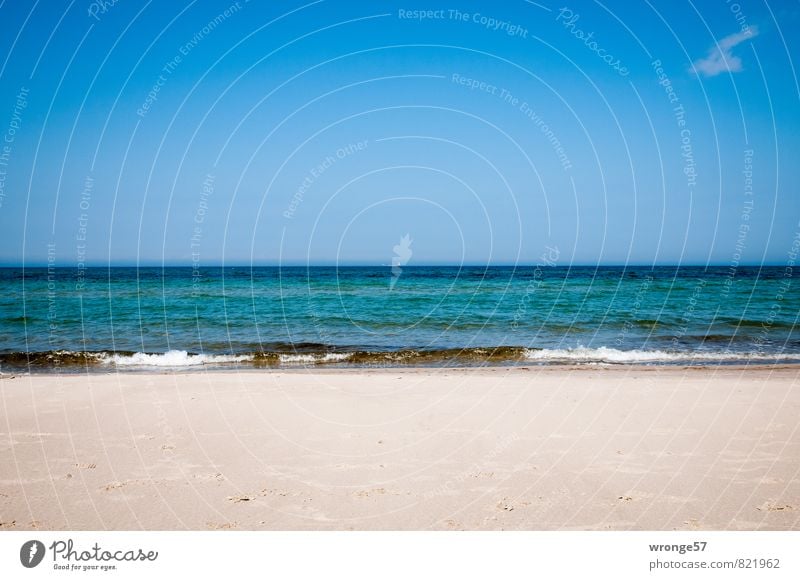 Sehnsuchtsmeer Ferne Sommer Strand Meer Badeurlaub Natur Sand Wasser Himmel Wolken Horizont Schönes Wetter Wellen Küste Ostsee blau himmelblau Sandstrand