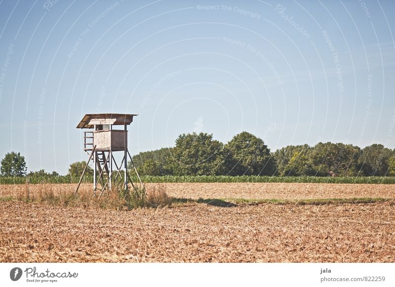 hochsitz Natur Landschaft Himmel Pflanze Baum Sträucher Grünpflanze Feld Hochsitz Bauwerk einfach natürlich Farbfoto Außenaufnahme Menschenleer