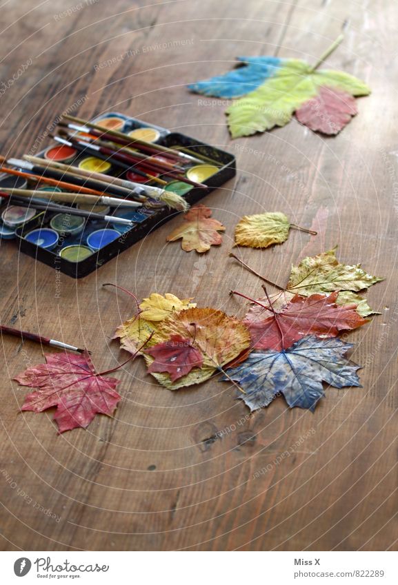 Malen Freizeit & Hobby Spielen Basteln Kinderspiel Herbst Blatt Holz mehrfarbig Kreativität Herbstlaub malen Pinsel Farbkasten Farbstoff Farbfoto Innenaufnahme