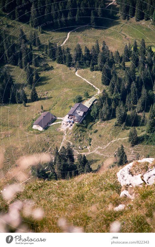 Sommerlager Ausflug Berge u. Gebirge wandern Haus Klettern Bergsteigen Umwelt Natur Schönes Wetter Wiese Wald Hügel Felsen Alpen Hütte Wege & Pfade Originalität