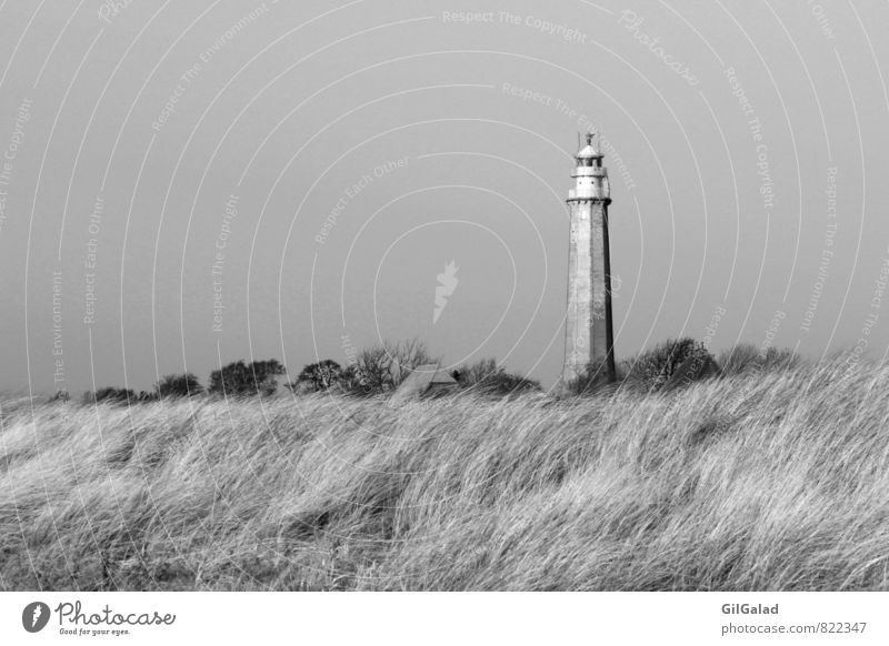 Leuchtturm im Nirgendwo Umwelt Natur Landschaft Herbst Winter Sträucher Küste Strand Ostsee Insel Fehmarn Flügge Menschenleer Güterverkehr & Logistik