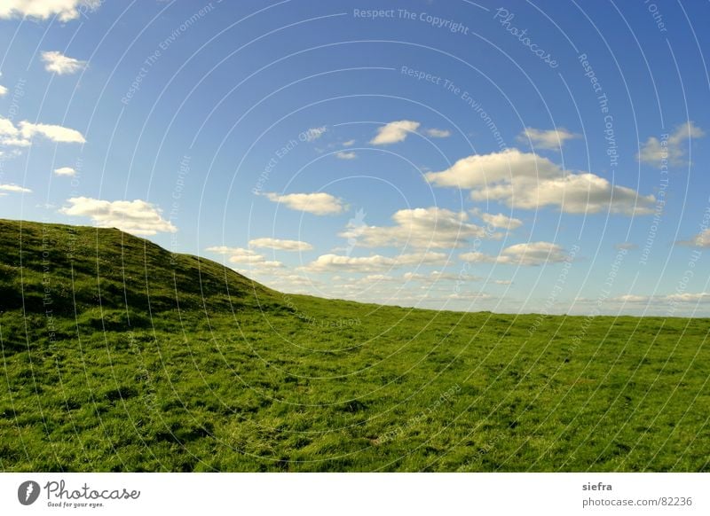 Bliss 2.0 Wolken Wiese Gras grün Außenaufnahme blau Himmel Glück Freiheit