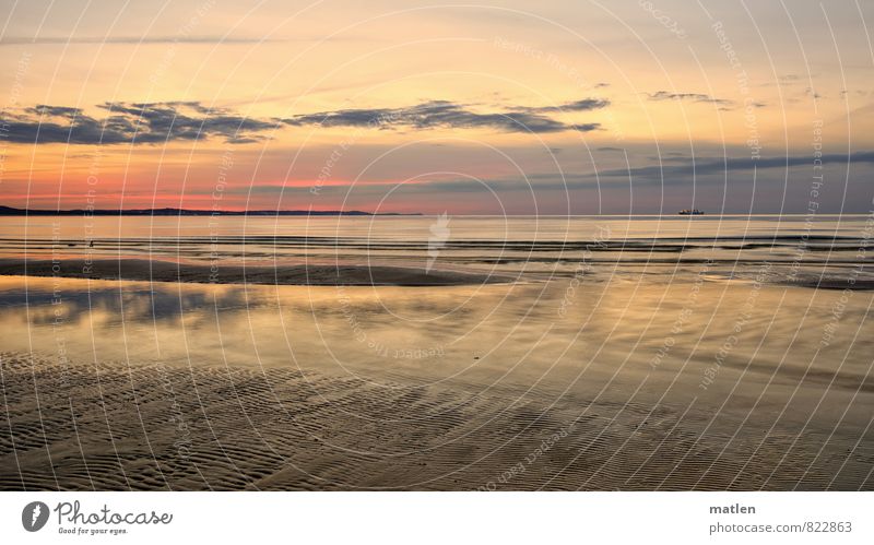 Abend Natur Landschaft Himmel Wolken Nachthimmel Horizont Sonnenaufgang Sonnenuntergang Frühling Wetter Schönes Wetter Wellen Küste Strand Ostsee blau braun