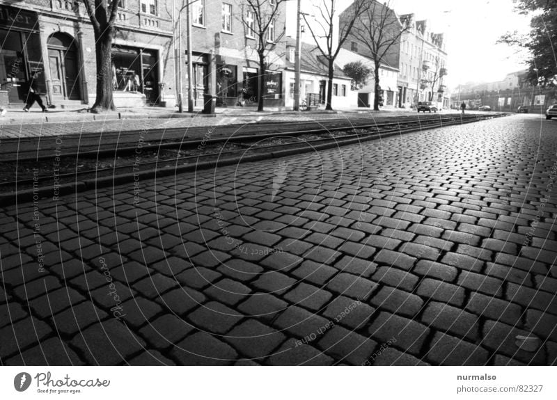 Katzenköpfe in Babelsberg Potsdam Potsdam-Babelsberg Stadt Straßenbelag Fahrbahn Stadtzentrum Hauptstraße Winter historisch Filmstudio Stein Pflastersteine