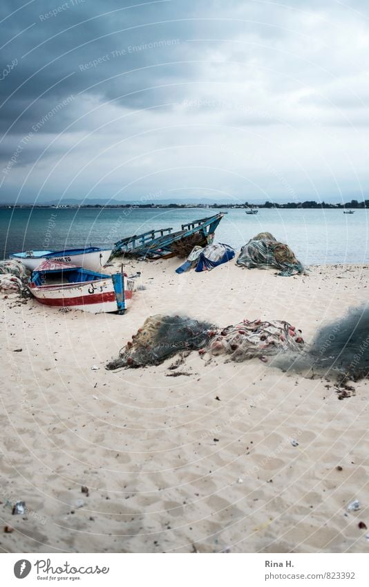 Gestrandet Natur Himmel Wolken Gewitterwolken Horizont Frühling Klima schlechtes Wetter Unwetter Wind Strand Meer Hammamet bedrohlich dunkel Endzeitstimmung