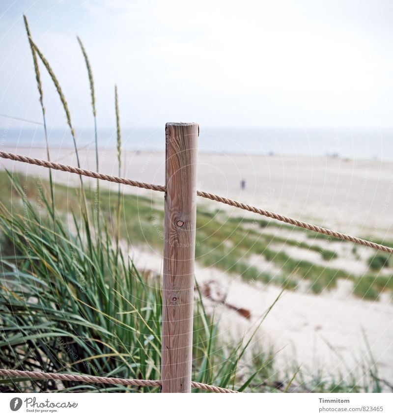 Wasserzeichen | Orientierungshilfe. Ferien & Urlaub & Reisen Umwelt Natur Landschaft Pflanze Urelemente Sand Himmel Schönes Wetter Strand Dänemark Pfosten Seil