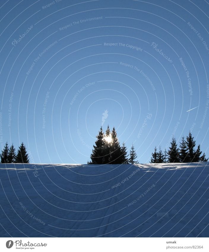 Ruhe Berchtesgaden Baumschmuck Schneespur Segelflugzeug Fluggerät Tanne Schneelandschaft Sternschnuppe verdeckt kalt Flugzeug Horizont ruhig Licht & Schatten