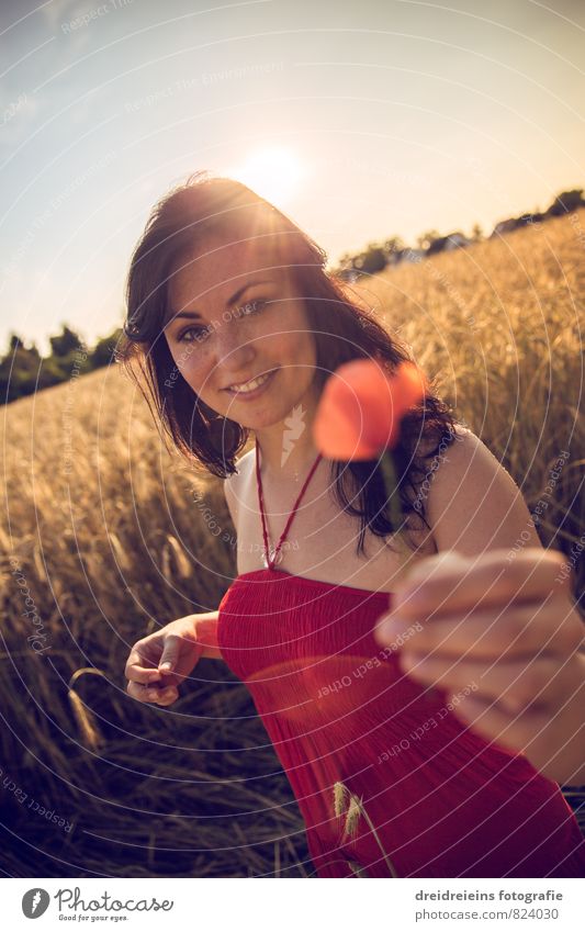 Ein Mohnblümchen für dich feminin Junge Frau Jugendliche Erwachsene 1 Mensch Natur Sonnenaufgang Sonnenuntergang Sonnenlicht Sommer Schönes Wetter Kleid