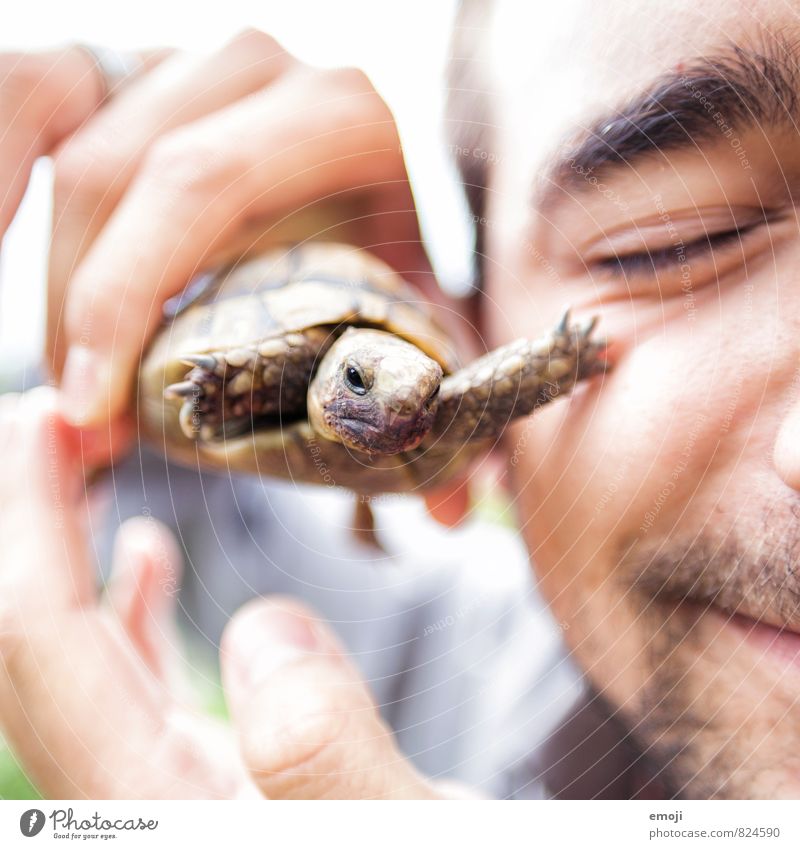 Streicheleinheit maskulin Junger Mann Jugendliche Gesicht 1 Mensch 18-30 Jahre Erwachsene Tier Haustier Tierjunges außergewöhnlich Spitze Schildkröte Farbfoto