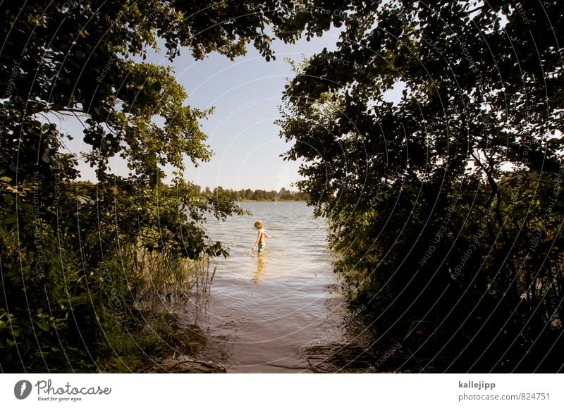 zum see Mensch Junge Kindheit Leben Körper Haut 1 8-13 Jahre Umwelt Natur Landschaft Pflanze Tier Wasser Baum Blatt Wald Bucht Teich See Schwimmen & Baden