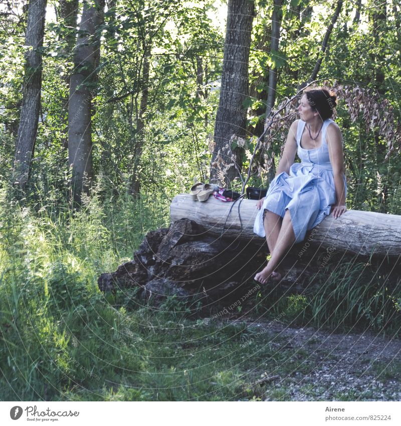 noch ein wenig innehalten Erholung Ausflug Sommer Mensch feminin Frau Erwachsene 1 30-45 Jahre Landschaft Baum Baumstamm Wald Bank Holzbank beobachten sitzen