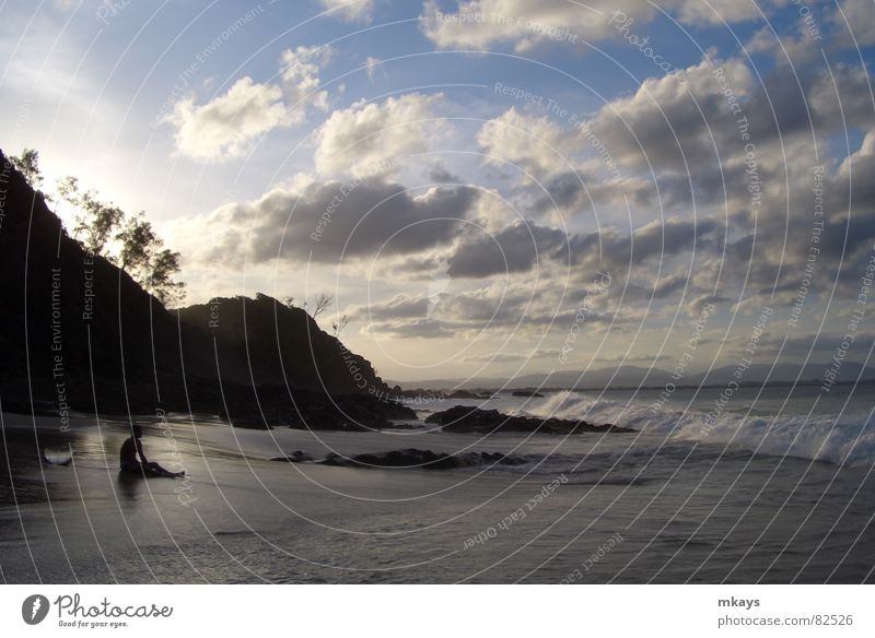 Welch ein Tag! Surfer Byron Delphine Meer Strand Ferien & Urlaub & Reisen Baum Wellen Freude Australien Wolken Sonne Nachmittag genießen Badestelle Abend