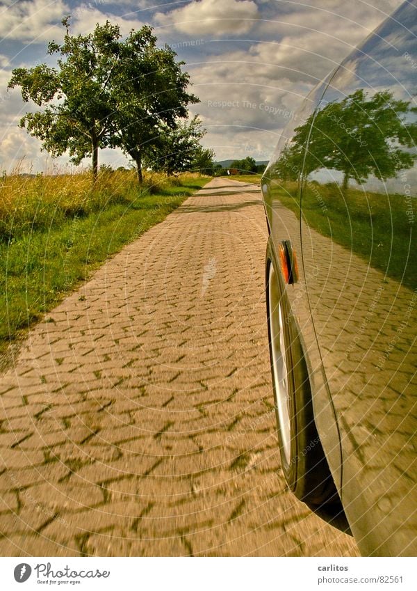 Airbrush ?  I Fußweg Baum Baumreihe fahren Kotflügel Reflexion & Spiegelung Spiegelbild Horizont Wolken grün Straßenbelag Beschleunigung PKW Geschwindigkeit