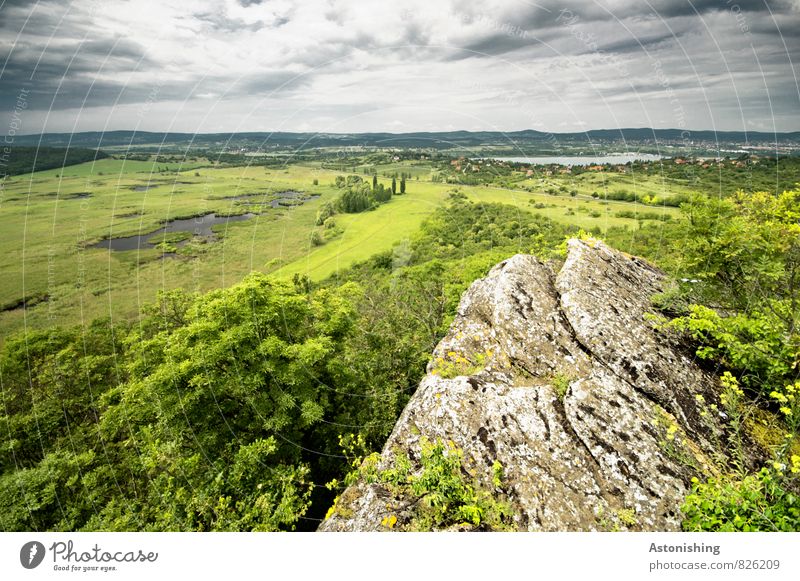 Tihany am Balaton Umwelt Natur Landschaft Pflanze Himmel Wolken Gewitterwolken Horizont Sommer Wetter Unwetter Baum Gras Sträucher Wiese Wald Hügel Felsen Moor