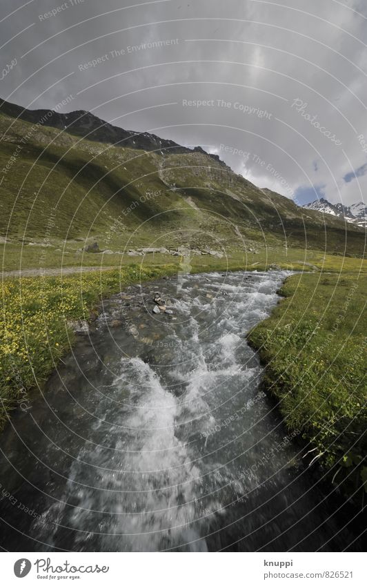 Gebirgsbach Umwelt Natur Landschaft Pflanze Urelemente Luft Wasser Himmel Wolken Gewitterwolken Sonne Sonnenlicht Sommer Klimawandel schlechtes Wetter Unwetter