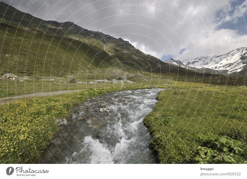 Davos Umwelt Natur Landschaft Pflanze Urelemente Luft Wasser Himmel Wolken Sonne Sonnenlicht Frühling Sommer Klima Klimawandel Schönes Wetter schlechtes Wetter