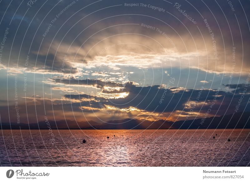 Sunset Gardasee Landschaft Luft Wasser Sonnenaufgang Sonnenuntergang Sommer Strand See Lazise Natur Farbfoto Menschenleer Panorama (Aussicht)