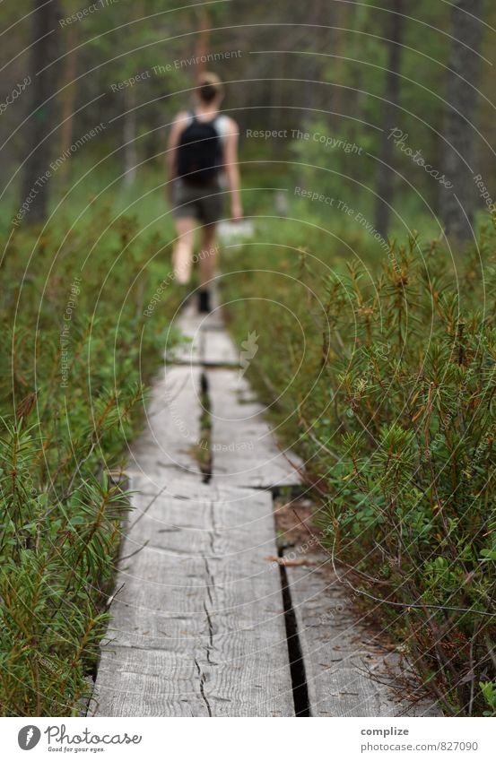 Outdoor Mensch Frau Erwachsene Umwelt Natur Landschaft Pflanze Baum Gras Sträucher Grünpflanze Wald Urwald Wege & Pfade wandern Erholung Ferne Einsamkeit