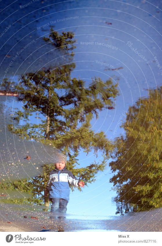 Pfütze Freizeit & Hobby Spielen Mensch Kind Kleinkind Junge 1 1-3 Jahre 3-8 Jahre Kindheit Wasser Wolkenloser Himmel Frühling Herbst Wetter schlechtes Wetter