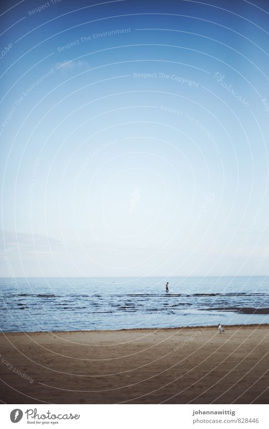 lieber frei als eingeengt. Leben 1 Mensch Umwelt Natur Wasser Himmel Sommer Wellen Ostsee Meer Erholung gehen genießen laufen rennen Schwimmen & Baden