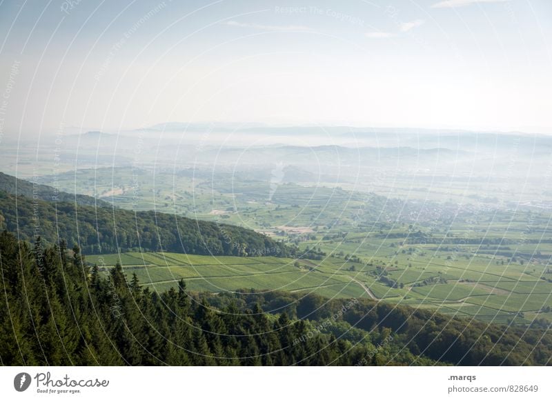 Rheintal Tourismus Ausflug Umwelt Natur Landschaft Wolkenloser Himmel Horizont Sommer Schönes Wetter Baum Wiese Wald Hügel Ebene Aussicht Stimmung Erfolg