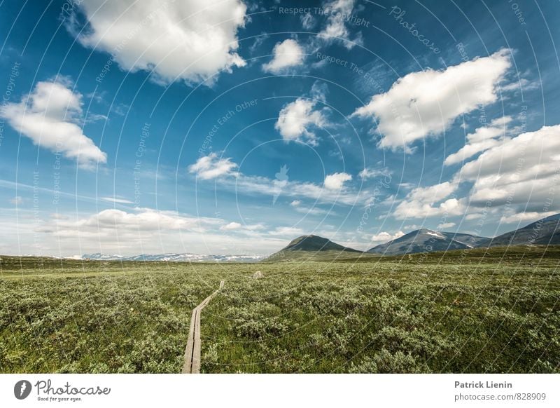 until we meet the sky Wohlgefühl Zufriedenheit Sinnesorgane Erholung Ferien & Urlaub & Reisen Ausflug Abenteuer Expedition Berge u. Gebirge wandern Umwelt Natur