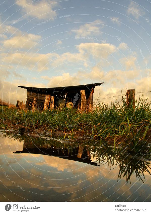 Teehäuschen Baracke Pavillon Stacheldraht Horizont Zaun Scheune Wiese Fußweg Pfütze Reflexion & Spiegelung Wolken dramatisch Wind Leidenschaft Mitte Symmetrie