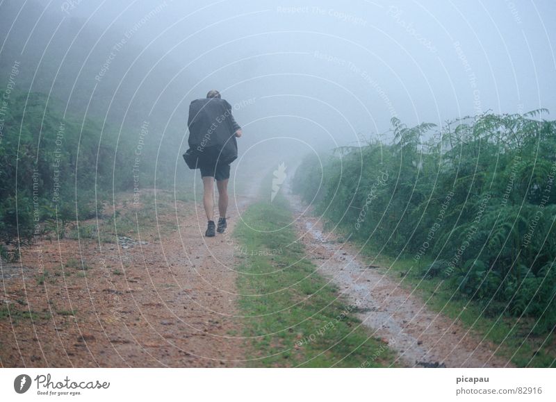 Wanderer im Nebel Brasilien wandern Nebelbank grau Einsamkeit planlos Rucksack Nebelschleier Herbst Südamerika Estrada Real Rucksacktourist wandervogel