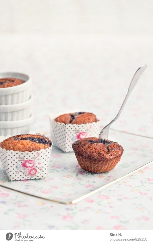 KirschMohn Teigwaren Backwaren Teller Gabel hell lecker süß rosa weiß Food Muffin Backform Blumenmuster Farbfoto Außenaufnahme Menschenleer Textfreiraum oben