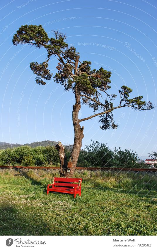 red bench Garibaldi Oregon USA Nordamerika Einsamkeit ruhig Bank Farbfoto Außenaufnahme Menschenleer Abend