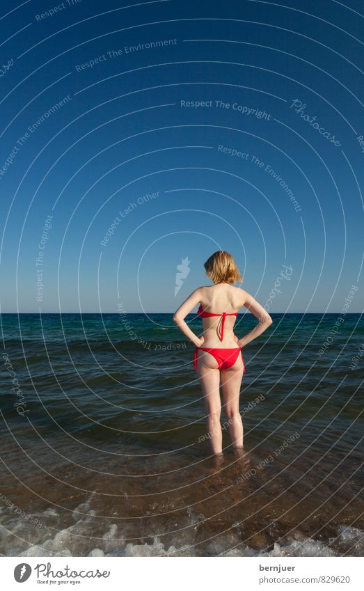 Mrs. Columbus Mensch feminin Junge Frau Jugendliche 1 18-30 Jahre Erwachsene Umwelt Luft Wasser Wolkenloser Himmel Schönes Wetter Küste Strand Meer blond Wärme