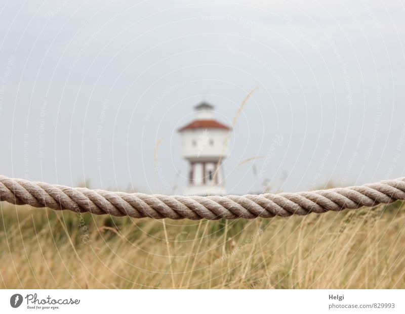 900 | Seele baumeln lassen... Ferien & Urlaub & Reisen Tourismus Sommer Sommerurlaub Umwelt Natur Landschaft Pflanze Himmel Schönes Wetter Gras Küste Nordsee