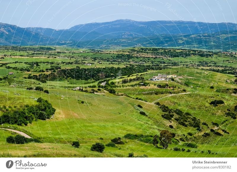 Paesaggio sardo Ferien & Urlaub & Reisen Tourismus Umwelt Natur Landschaft Pflanze Frühling Schönes Wetter Baum Gras Sträucher Feld Wald Hügel Berge u. Gebirge