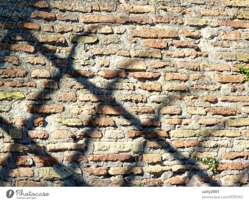 hinter römischen Gittern Altstadt Bauwerk Mauer Wand Stein alt dunkel eckig historisch Platzangst Gewalt Zaun Sicherheit Backsteinwand Backsteinfassade Ruine