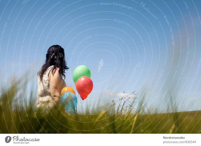 Sommer Sonne Kaktus Lifestyle Freude Glück harmonisch Sinnesorgane Ausflug Mensch feminin Frau Erwachsene 1 Himmel Schönes Wetter Gras Wiese Feld Kleid