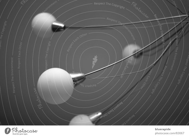 Lampen Stil Design Kabel Kugel hängen klein rund silber weiß Glühbirne Grauwert 4 Elektrizität farbneutral Verbindung Schwarzweißfoto Nahaufnahme Detailaufnahme