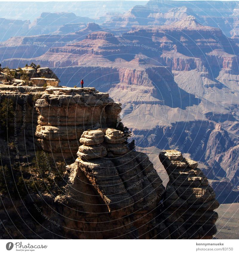 On the Rock Arizona USA Nationalpark 2006 Schlucht Berge u. Gebirge bird shooting Grand Canyon State rocks United States of America