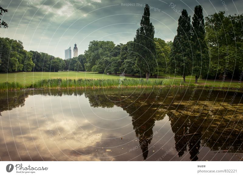 Parkoase harmonisch Erholung ruhig Umwelt Landschaft Wasser Baum Seeufer Oase Stadtrand Rathaus Bauwerk Gebäude Wahrzeichen außergewöhnlich dunkel fantastisch